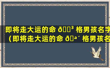 即将走大运的命 🌳 格男孩名字（即将走大运的命 🪴 格男孩名字怎么取）